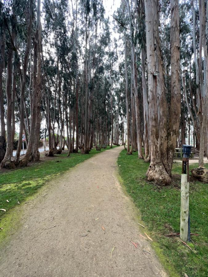 Departamento * Algarrobo